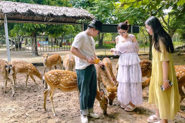 suối hoa lan nha trang